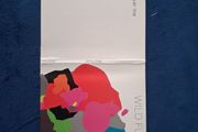 Wild Flag. Cd