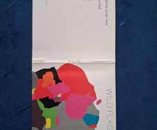 Wild Flag. Cd