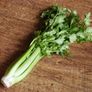 (C) Celeriac Tall Utah 52/70 seeds 0.05g (125111) Image 2