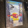 Spiderman DVD Image 3