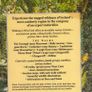 West Cork Walks - Kevin Corcoran Image 2