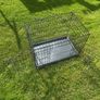 dog crate Image 4
