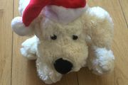 Christmas Teddy Brand New