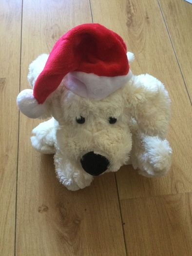 Christmas Teddy Brand New