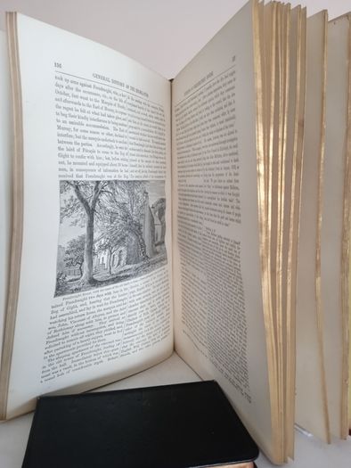 History of The Scottish Highlands - Highland Clans and Regiments: With an Account of the Gaelic Language, Literature and Music, by the Rev. Thomas Maclauchlan LL.D., F.S.A. (Scot.), and An Essay on Highland Scenery by the Late Professor John Wilson (GT855