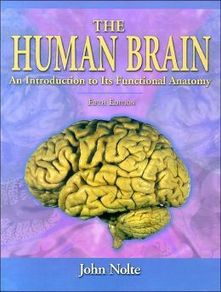 The Human Brain (nolte)