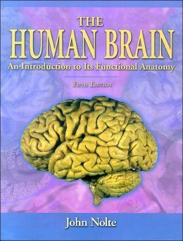 The Human Brain (nolte)