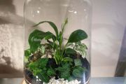 Lantern medium - white H32 x W20 cm