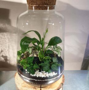 Lantern medium - white H32 x W20 cm