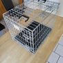 Dog Cage Image 6