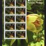 2011 Ireland Europa (Forests) Commemorative Stamps Sheetlet Plate 1A1A1A1A Mint Never Hinged (MNH) Image 2