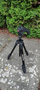 Small Manfrotto tripod