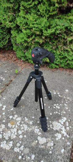 Small Manfrotto tripod