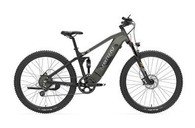 Lankeleisi Rx600pro Mountain Electric Bike
