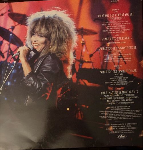 Tina Turner What You Get Is What You See 1987 Limited Edition Double 12 inch Vinyl