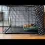 Dog Crate cover Image 3