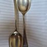 Desert Spoons Image 3
