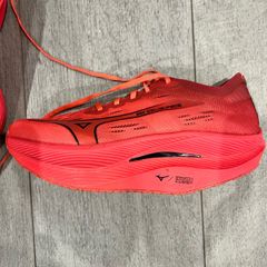 Mizuno Wave Rebellion Pro 2