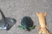 Sea animal bundle