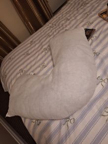 Curved Pillow