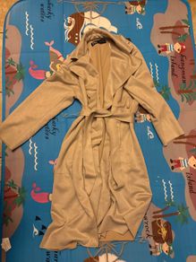 Zara suede coat