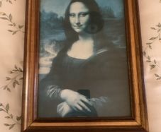 Framed Print
