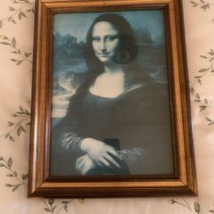 Framed Print