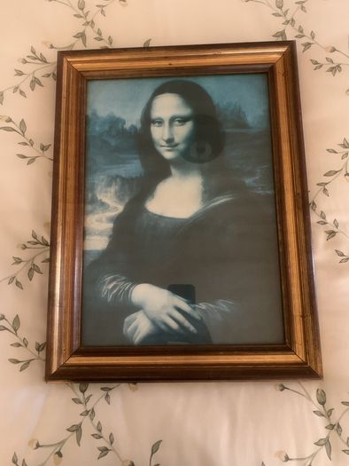 Framed Print