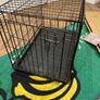 Dog Crate Image 2