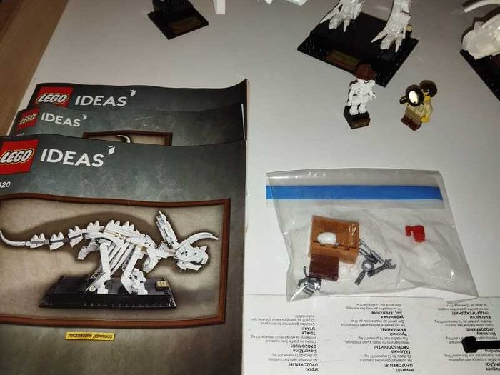 LEGO Ideas Dinosaur Fossils