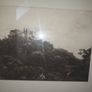 4 No. Antique photograuvre Print Old Dutch Master Image 2
