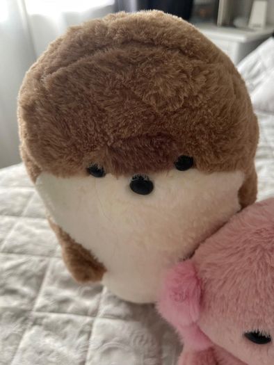Two large plushies, axolotl and seal