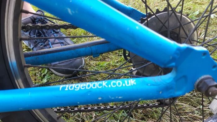 Ridgeback MX20