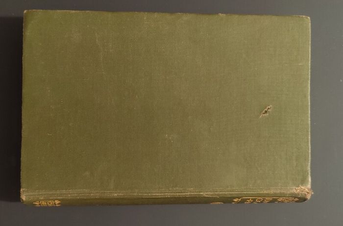 David Copperfield 1910 "The Popular Edition" Charles Dickens