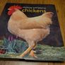 keeping hens Image 2