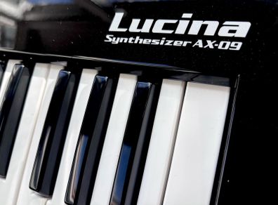 Roland Lucina AX-09 synthesizer