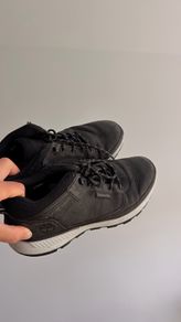 Timberland Field Trekker Low in Black