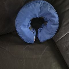 Padded dog recovering dog collar barely used almost brand new selling for 20 Collection only Virginia area