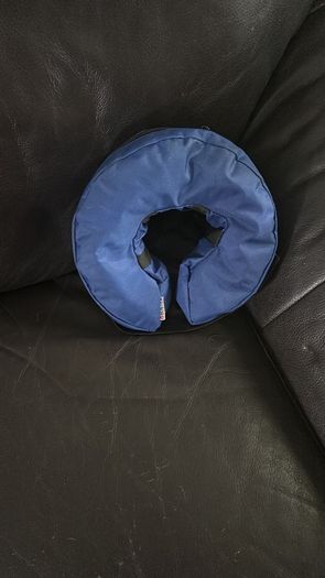 Padded dog recovering dog collar barely used almost brand new selling for 20 Collection only Virginia area