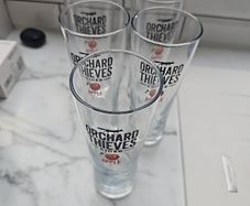 orchard thieves glasses