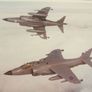 ROYAL NAVY (photoprints x 5) - Sea Harrier fighter jets, F174 Frigate & aircraft carrier deck with aircraft (1980's / 1990's) Image 7