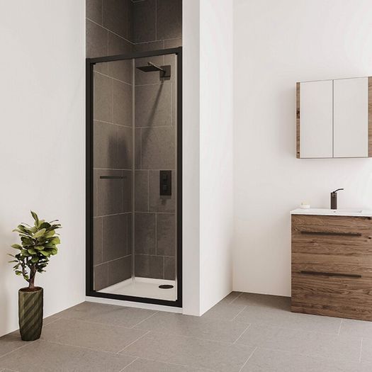 Shower Door