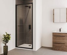 Shower Door