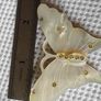 Mother of pearl brooch Image 2