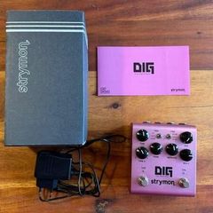 Strymon DIG V2
