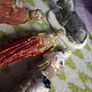 vintage nativity figures Image 4
