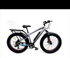 Montana Electric bike