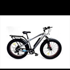 Montana Electric bike