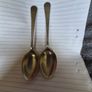 Desert Spoons Image 5