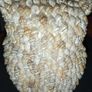 Vintage Seashell Art Image 4